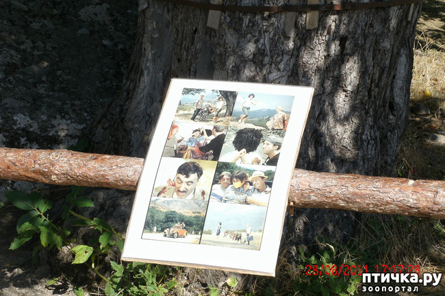 ���� 35: ��������