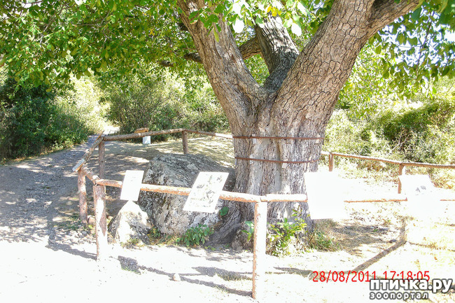 ���� 37: ��������