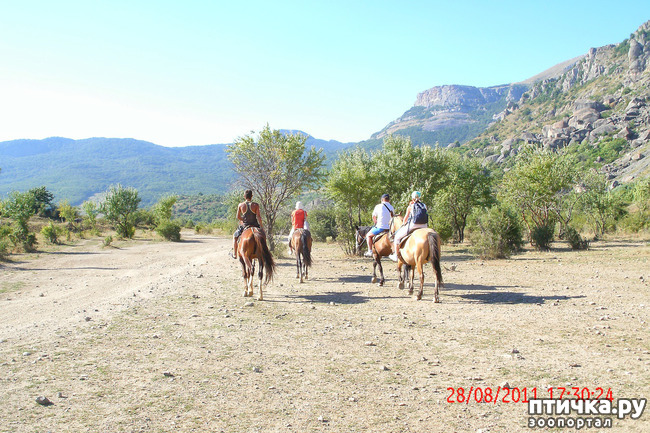 ���� 38: ��������