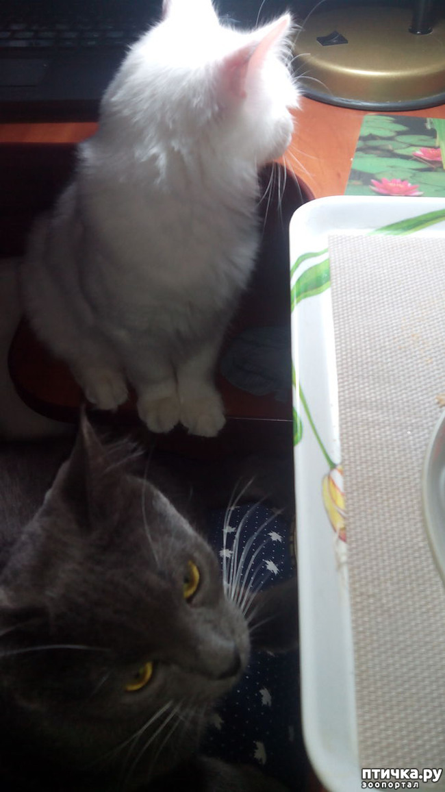 ���� 2: ���������� �������