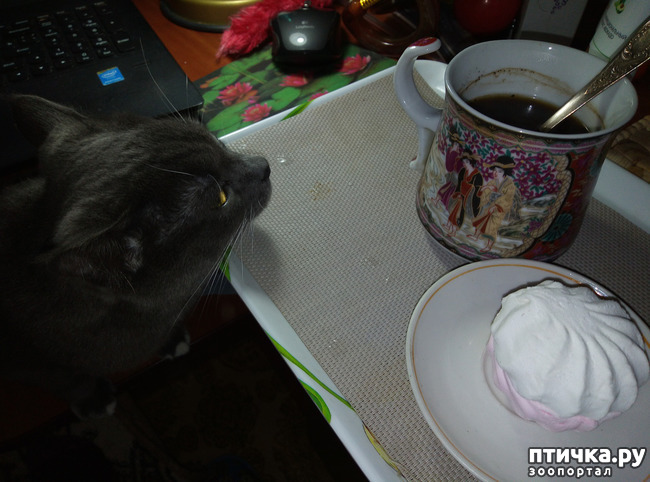 ���� 3: ���������� �������