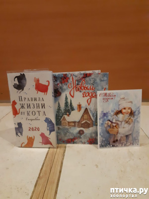 ����: � ����� � ��������!