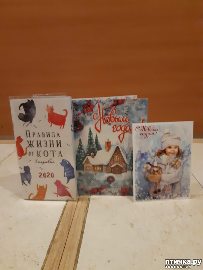 ���� 1: � ����� � ��������!