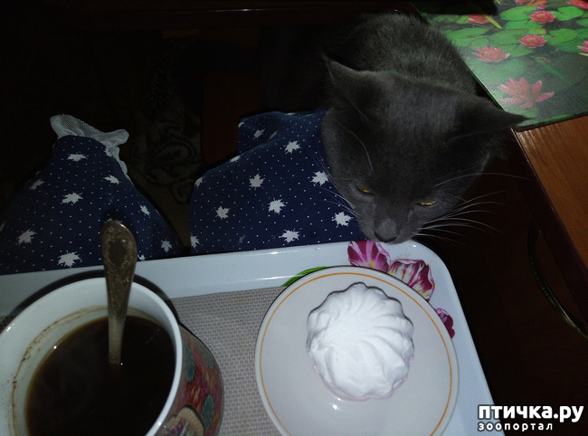 ���� 4: ���������� �������