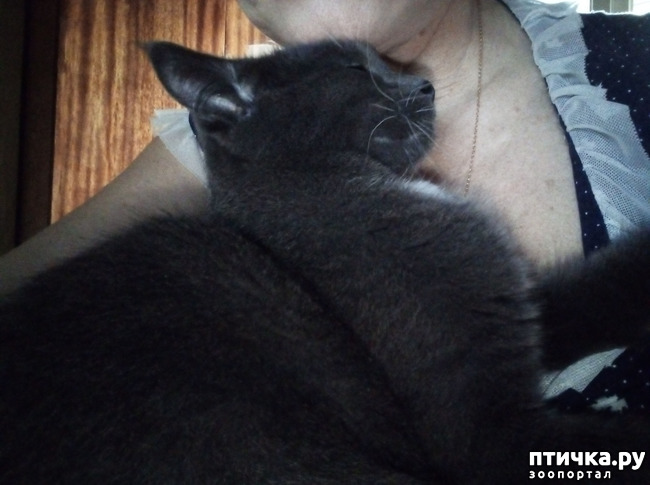 ���� 5: ���������� �������