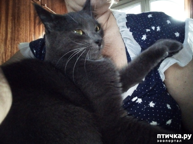 ���� 6: ���������� �������