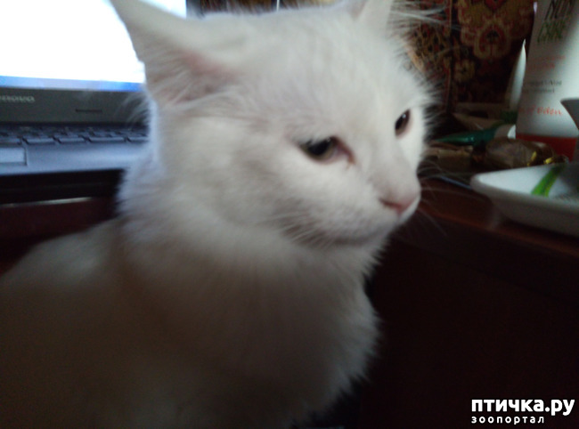 ���� 7: ���������� �������