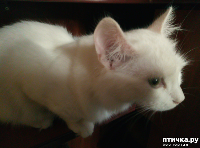 ���� 8: ���������� �������