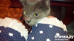 ����: ���������� �������