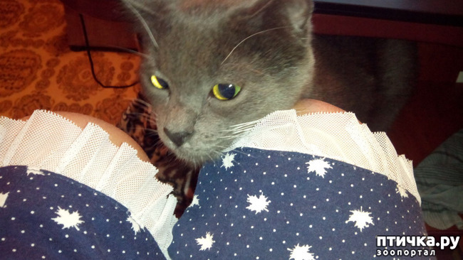 ���� 1: ���������� �������