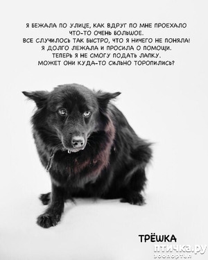 ����: "��� ����������!"