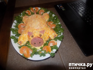 ����: ��������� �������� ���������� ����