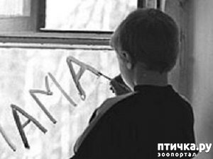 ����: ����� � ����� ��� ���Ĩ��� ����