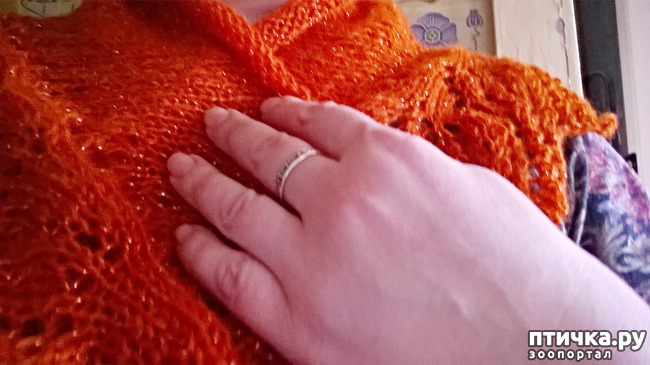 ���� 5: ������� - ��� ����!!!