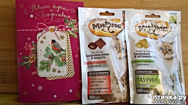 ���� 1: ������� - ��� ����!!!