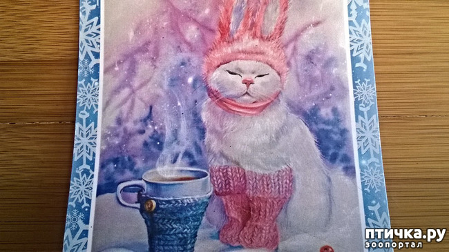 ���� 2: ������� - ��� ����!!!