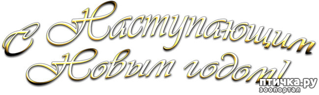 ���� 1: �������������� ���������