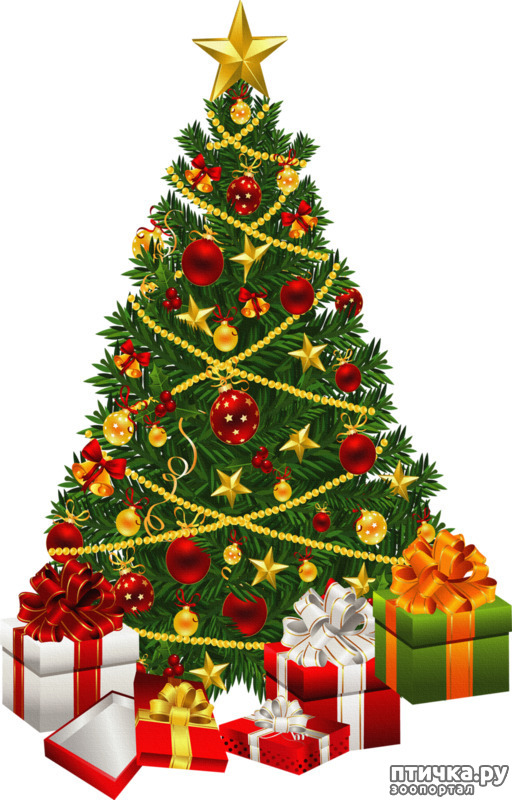 ���� 2: �������������� ���������