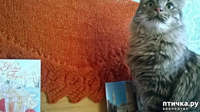 ���� 4: ������� - ��� ����!!!