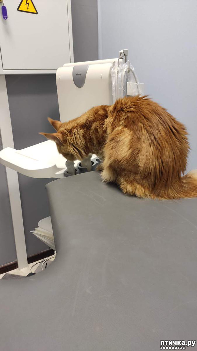 ���� 3: ���������� ���� ������)))