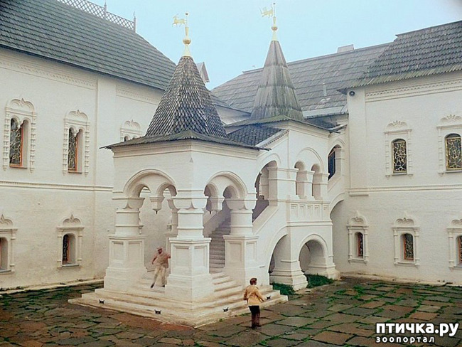 ���� 13: ������ �������