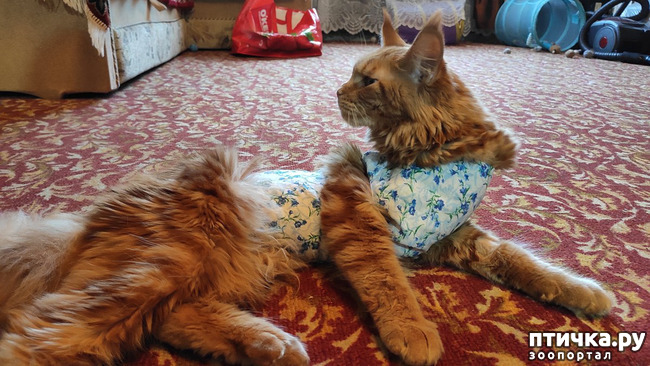 ���� 5: ���������� ���� ������)))