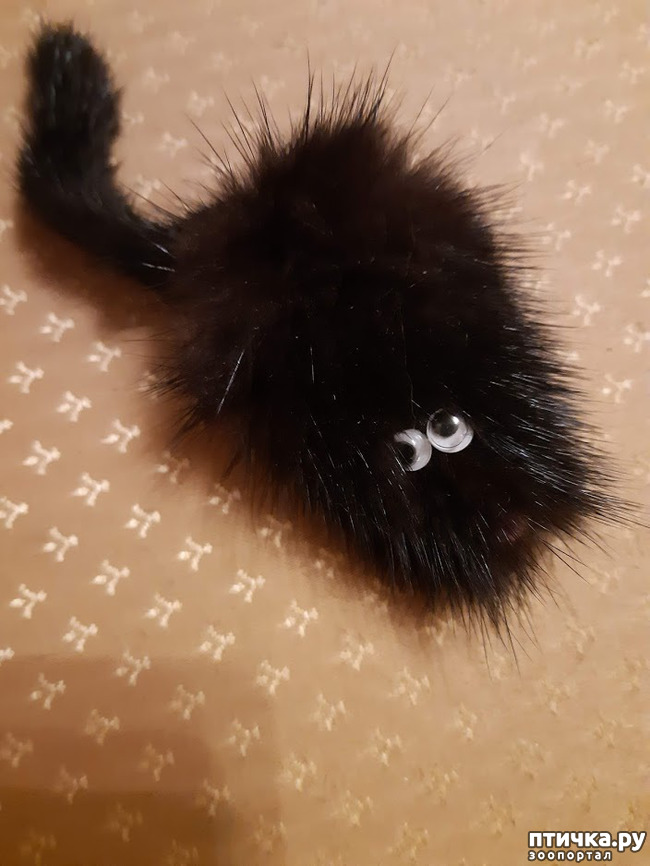 ���� 5: ������� �������� �������