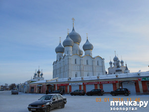 ����: ������ �������