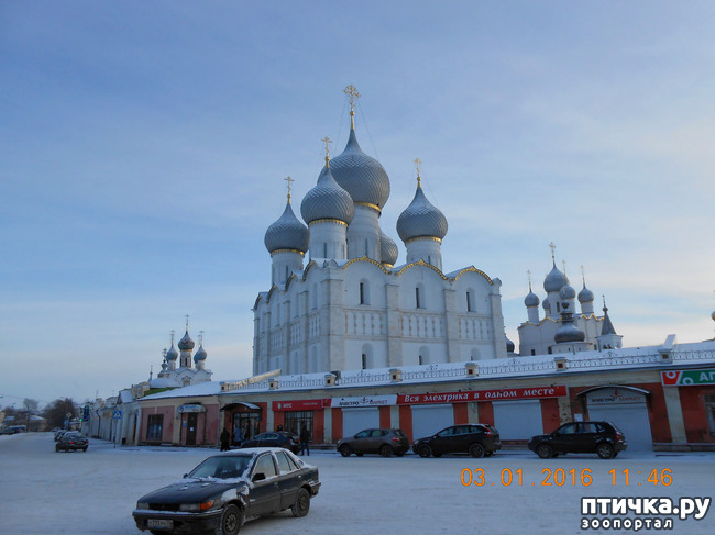 ���� 1: ������ �������