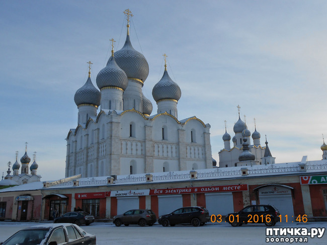 ���� 2: ������ �������