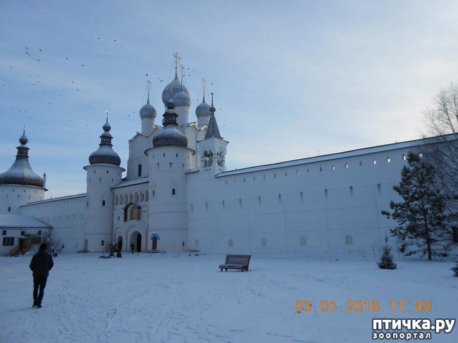 ���� 3: ������ �������