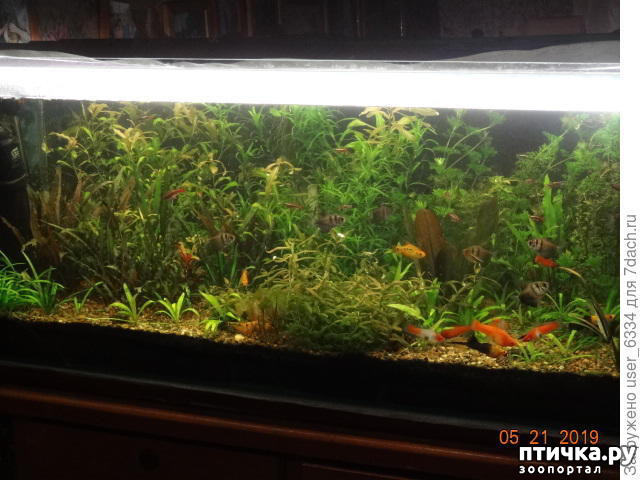 ���� 6: �������� ��������!