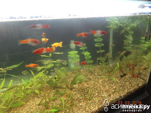 ���� 5: �������� ��������!