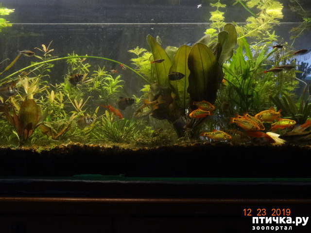 ���� 4: �������� ��������!