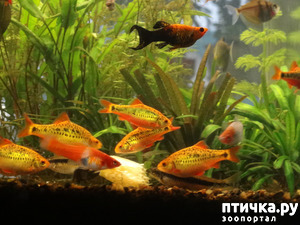 ����: �������� ��������!