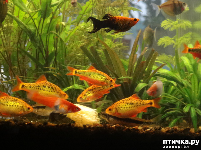 ���� 1: �������� ��������!