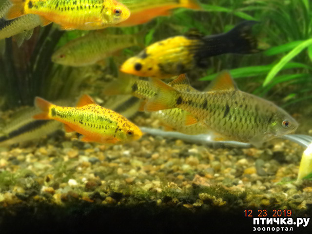 ���� 2: �������� ��������!