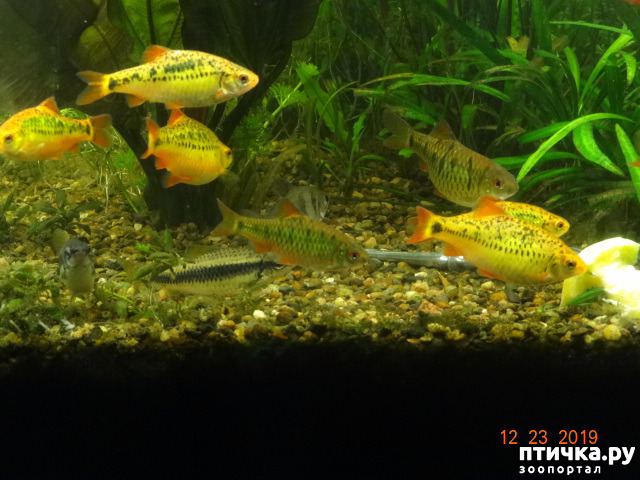 ���� 3: �������� ��������!