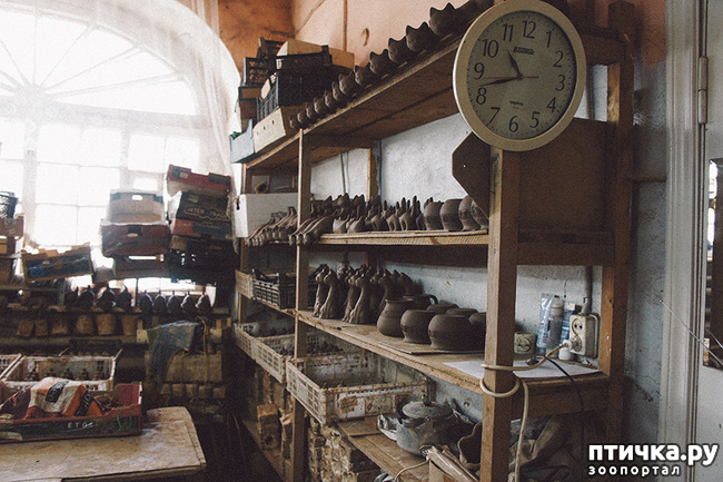 ���� 4: ������ �������