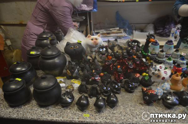 ���� 7: ������ �������