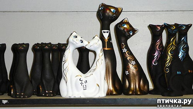 ���� 8: ������ �������