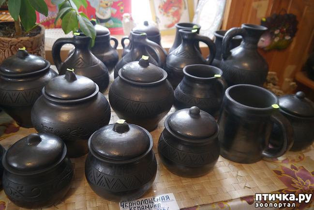 ���� 6: ������ �������