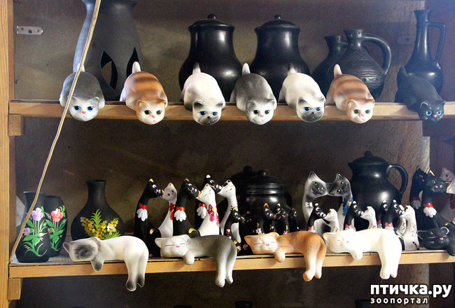 ���� 9: ������ �������