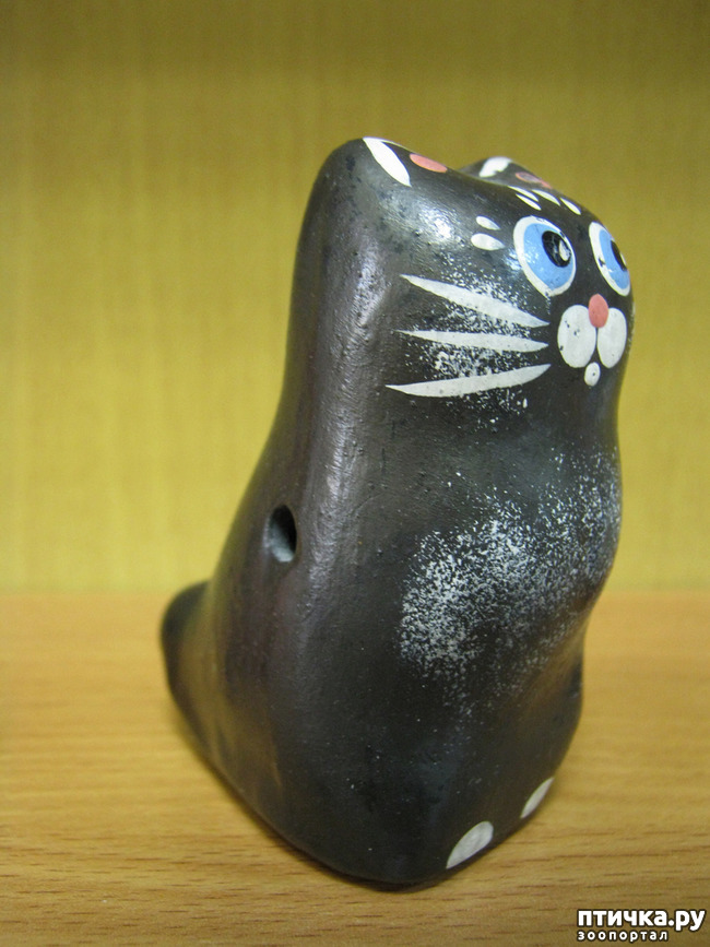 ���� 5: ������ �������