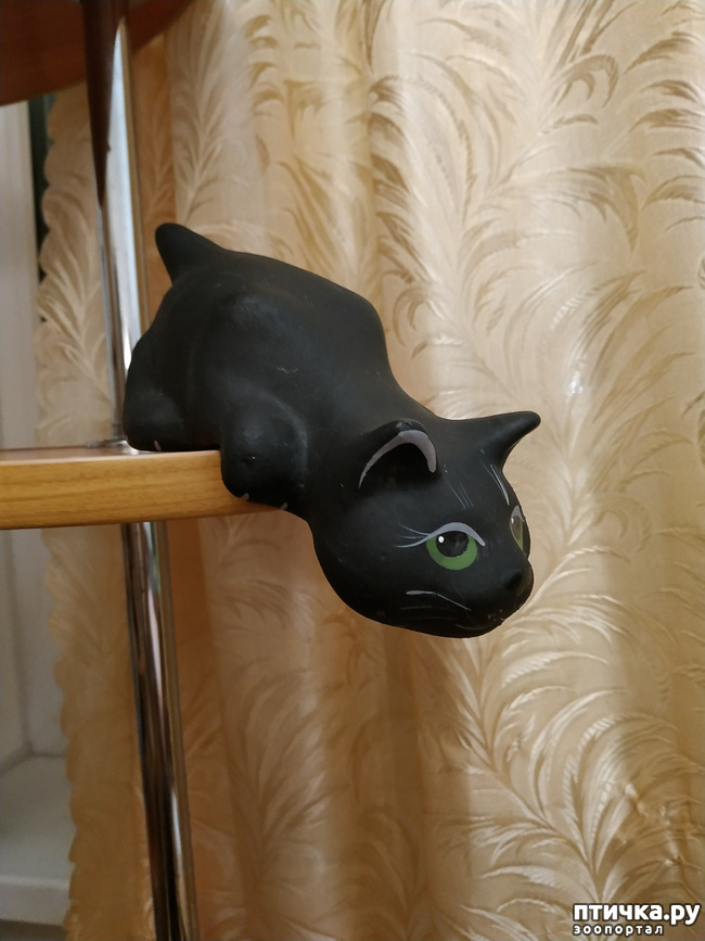 ���� 10: ������ �������