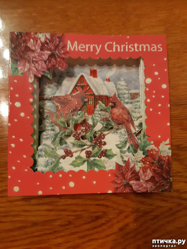 ���� 2: ������� �������� �������