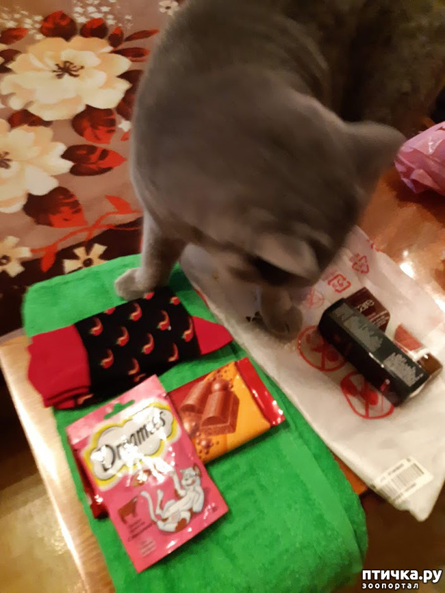 ���� 3: ������� �������� �������