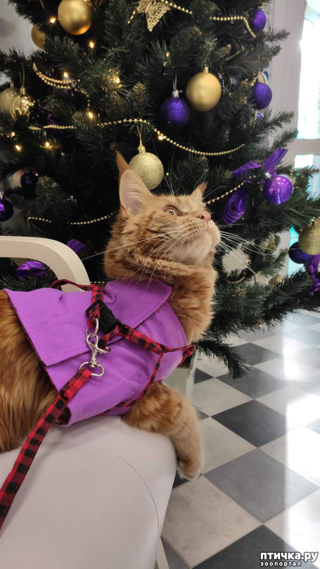 ���� 1: ���������� ���� ������)))