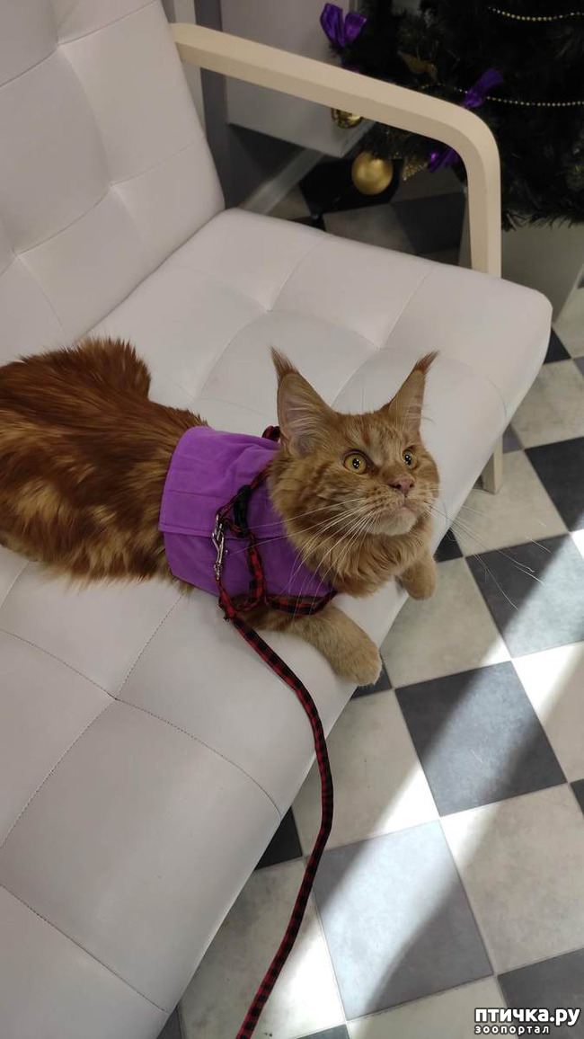 ���� 2: ���������� ���� ������)))