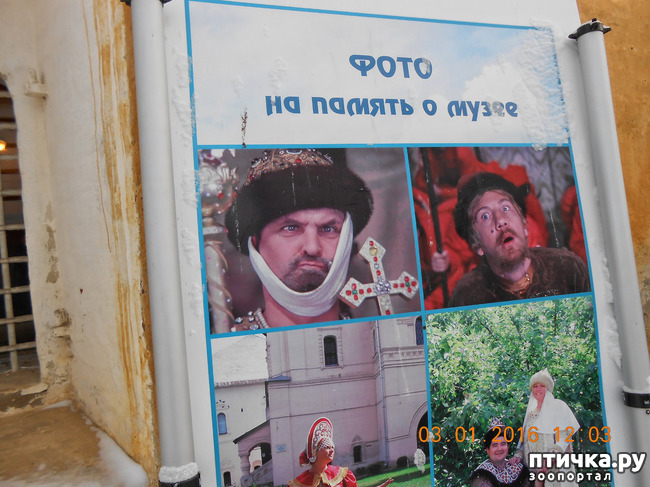 ���� 11: ������ �������